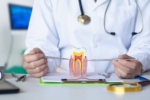 Best Weekend Emergency Dentist in Huxley, IA